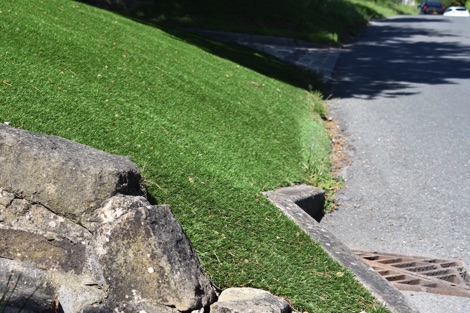 Plastic grass